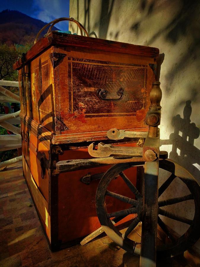 4Temporadas Villa Bran  Eksteriør billede
